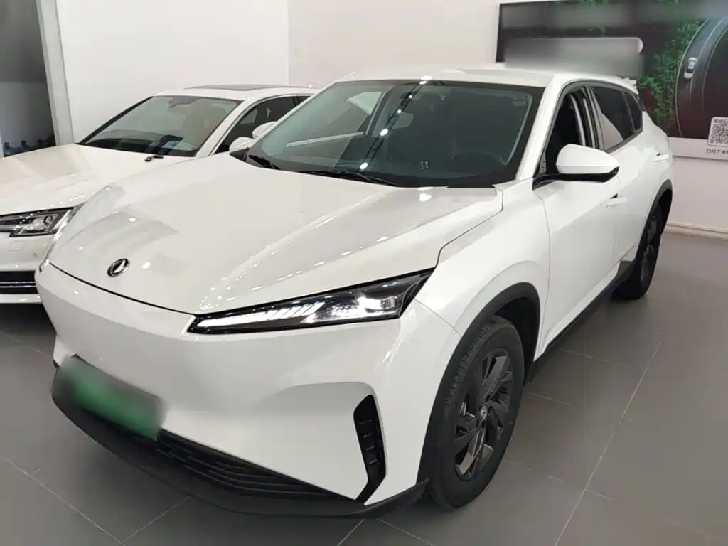 Dongfeng Aeolus SKY EV01 2024 2024 530km PRO