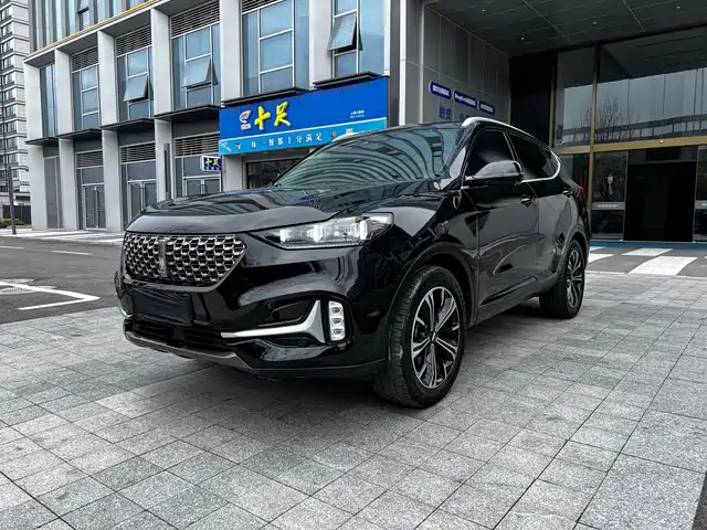 WEI PAI WEI BRAND VV6