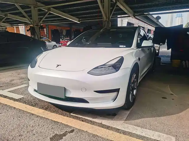 Tesla Model 3 Задний привод