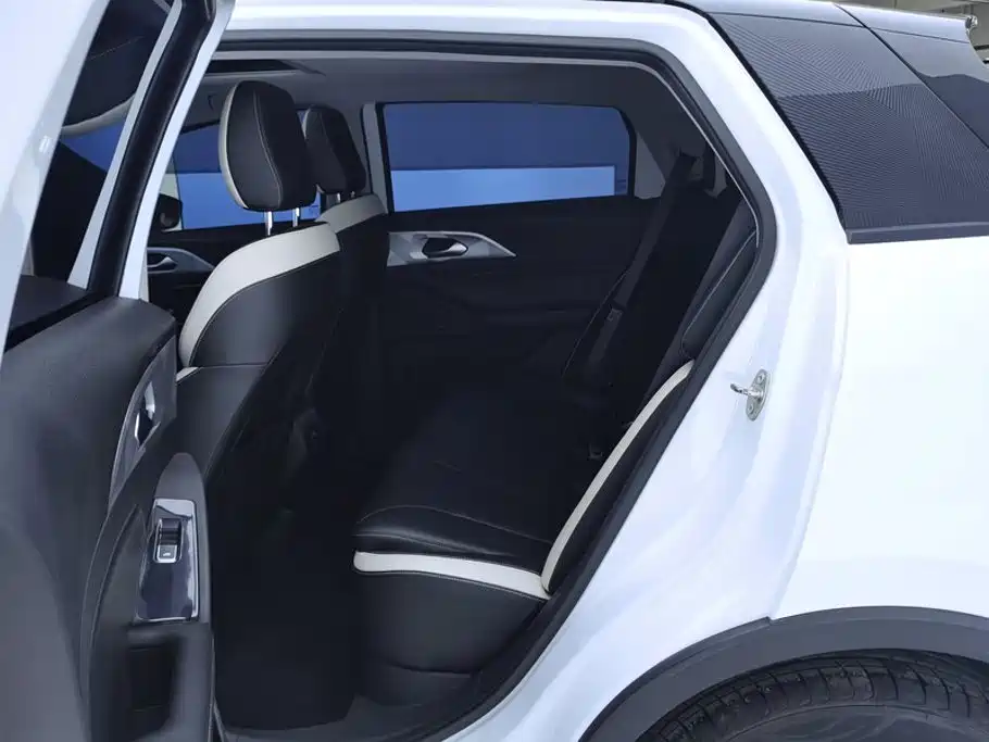 Geely Geometry E Firefly 2022 2022 401KM Delicate Tiger 4-seater