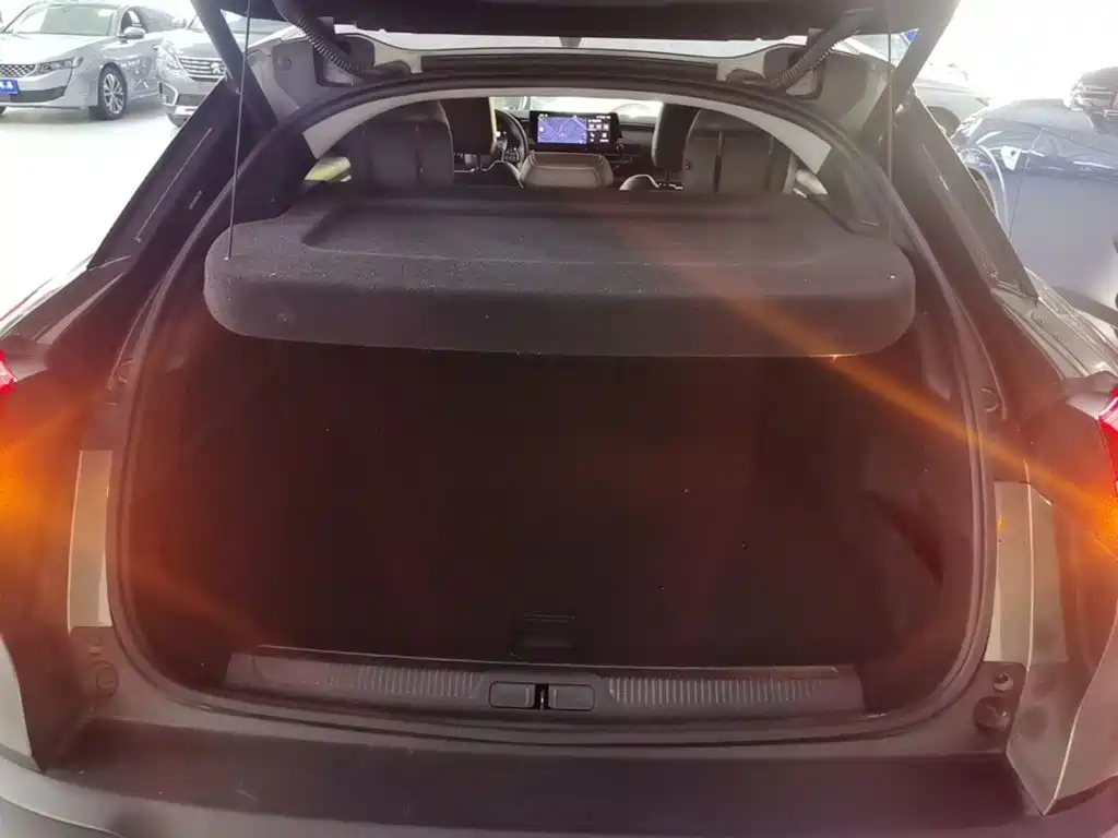 Citroën Versailles C5 X 2024 2023 1.6T Momentum