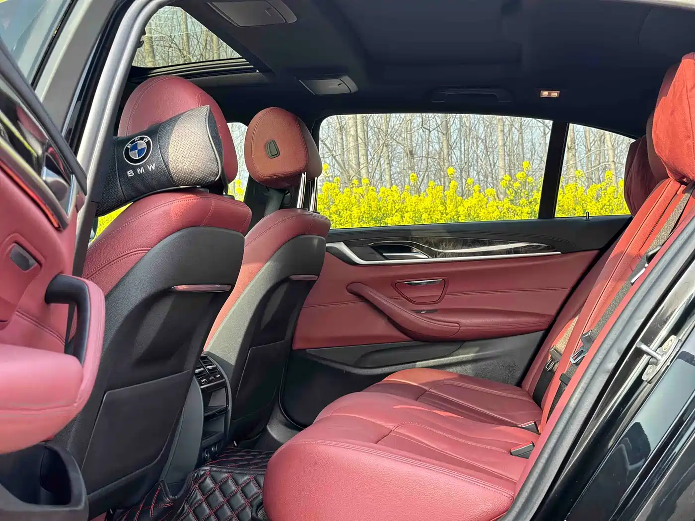 BMW 5 Series 2019 530Li Leading M Sport Package фото 4
