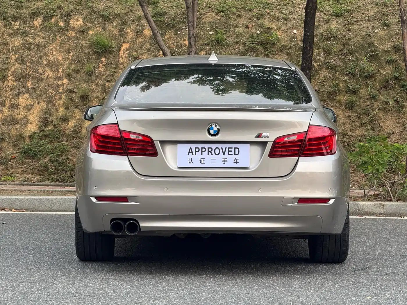 BMW 5 Series 2014 525Li Leading фото 7