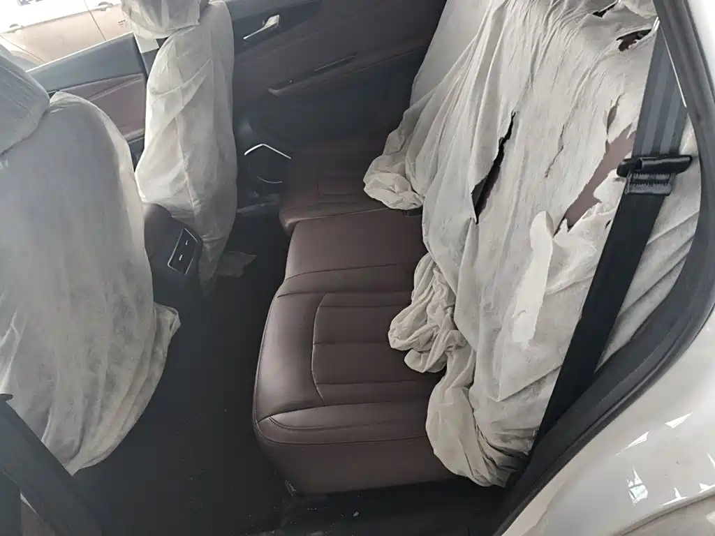 Sinotruk VGV VGV U75PLUS 2022 2021 2.0TGDI Luxury Pro 7-seater
