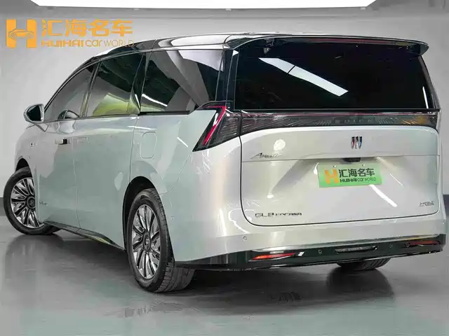 Buick Zhijing Shijia, фото 4