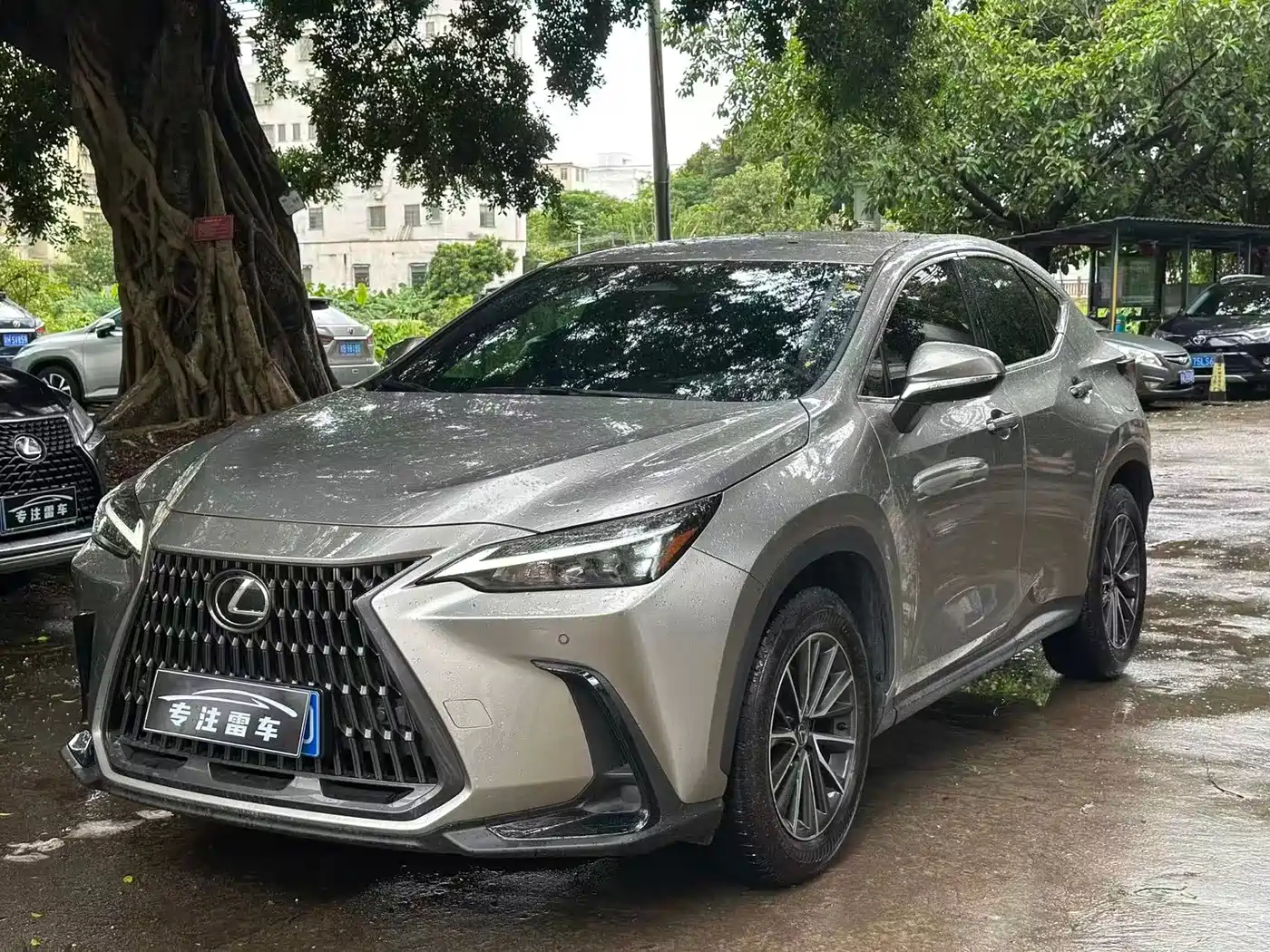 Lexus NX 2025 2024 260 FWD Innovation Edition