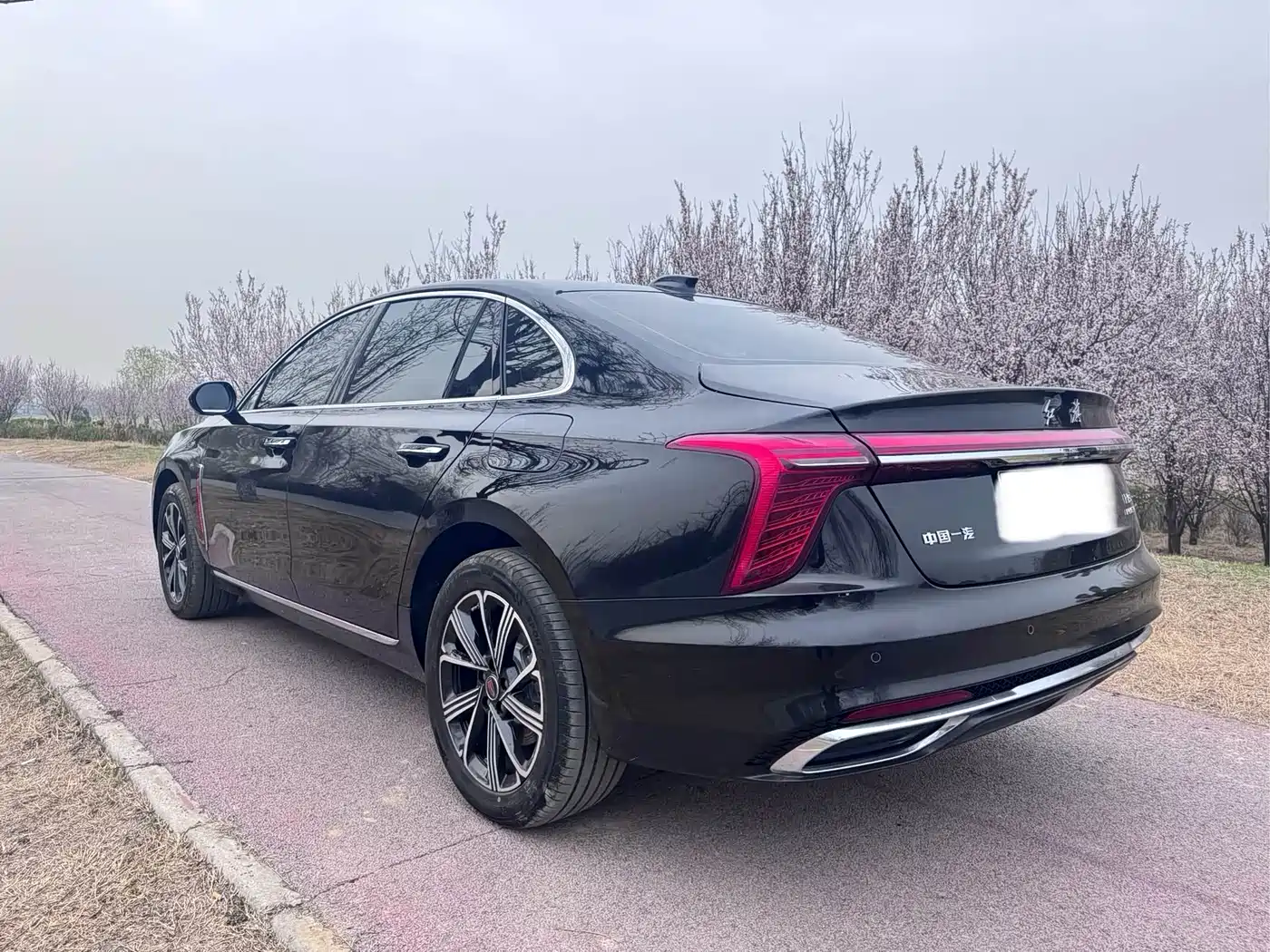 Hongqi H5 PHEV 2025 130 Super Hybrid Edition фото 7
