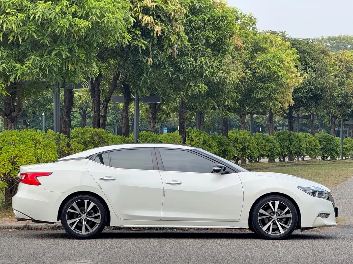 Nissan Cima 2019 2016 2.5L XL Luxury