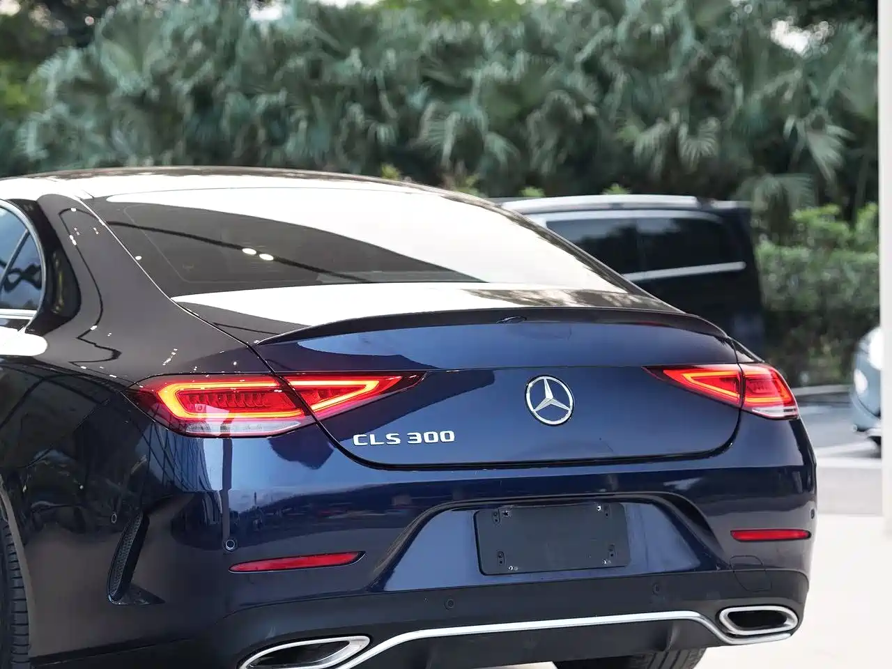 Mercedes-Benz CLS 2021 Facelift CLS 300 Luxury фото 14