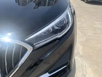 Hongqi H5 2020 1.5T DCT Qi Rhythm Edition фото 3