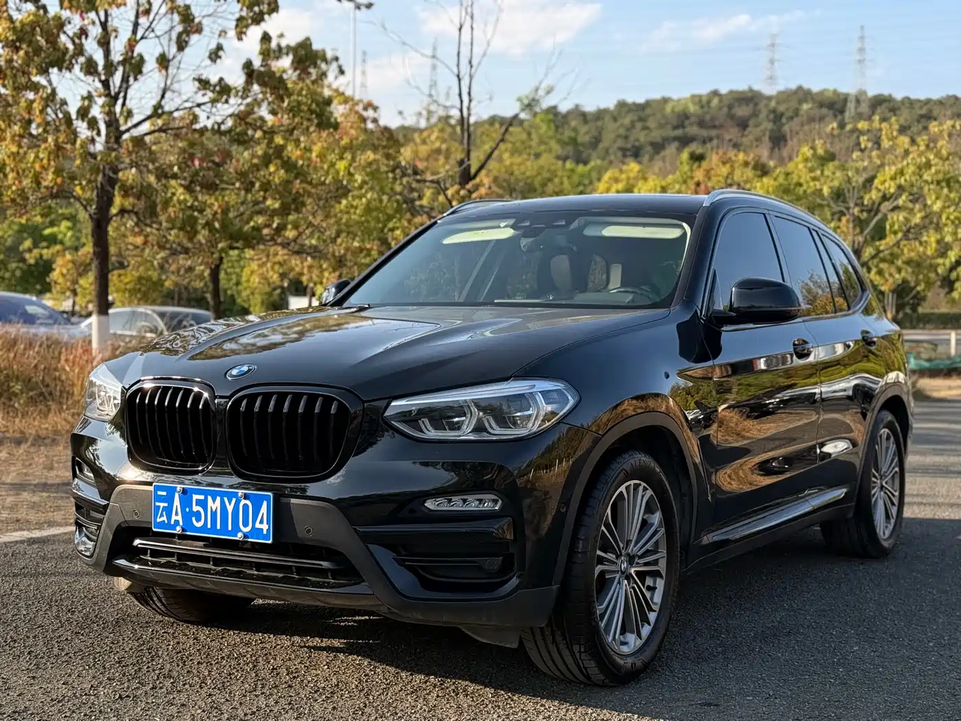BMW X3 2018 xDrive28i Luxury Package China VI фото 2
