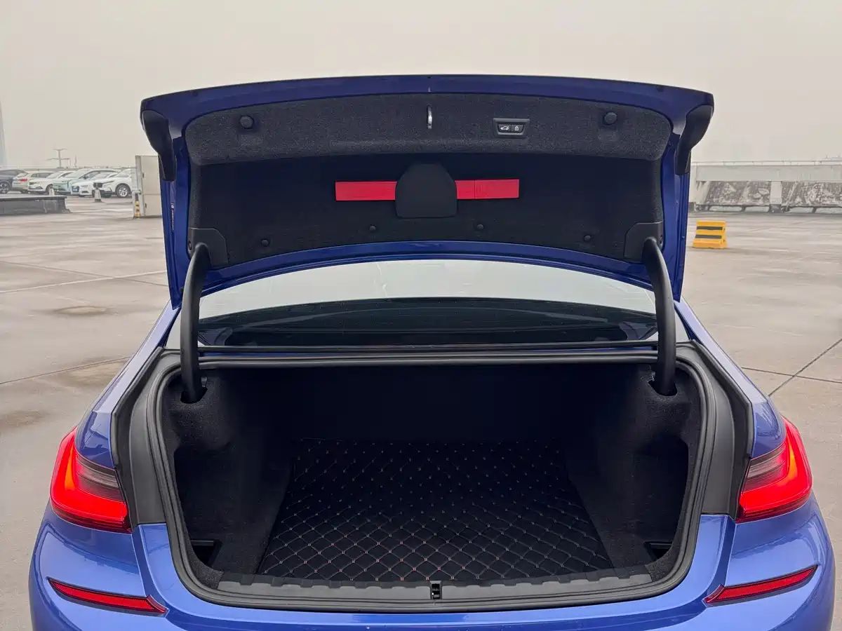 BMW 3 Series 2020 325Li M Sport Package фото 8