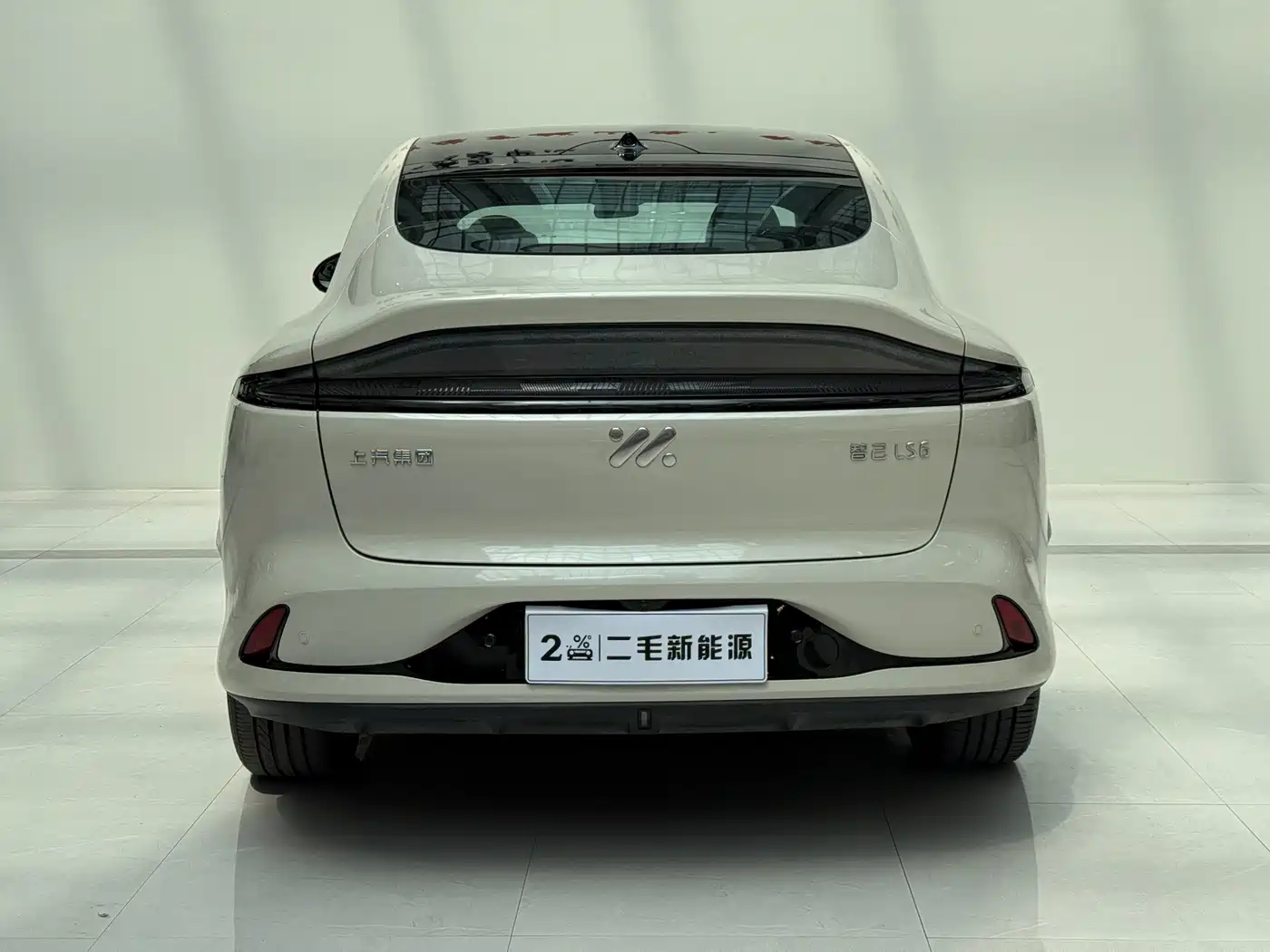 ZHIJI AUTOMOBILE ZHIJI LS6