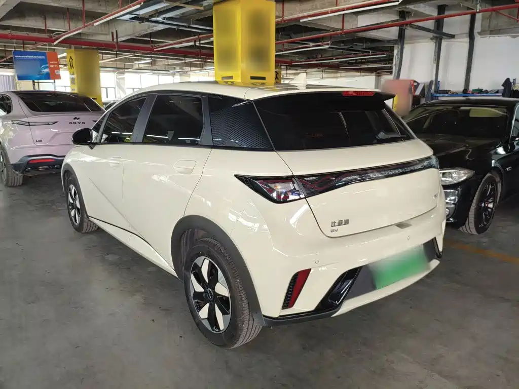 Фото 5 - BYD Dolphin