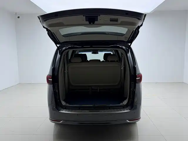 Фото 8 - Buick GL8