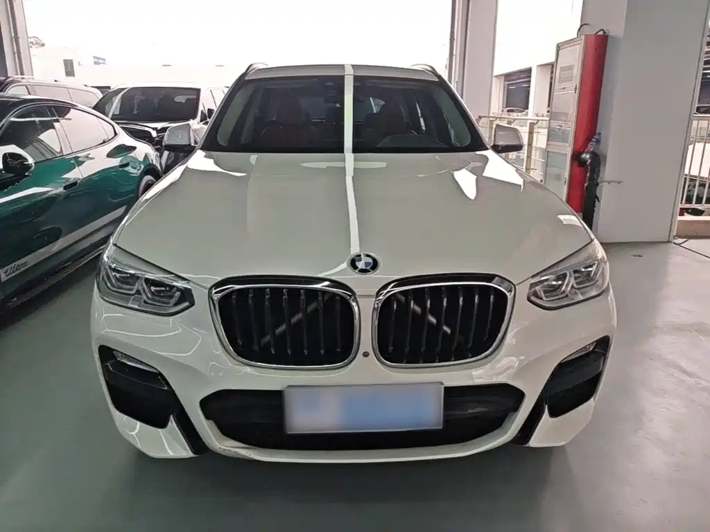 BMW X3 2018 2018 xDrive30i Leading M Sport Package China V