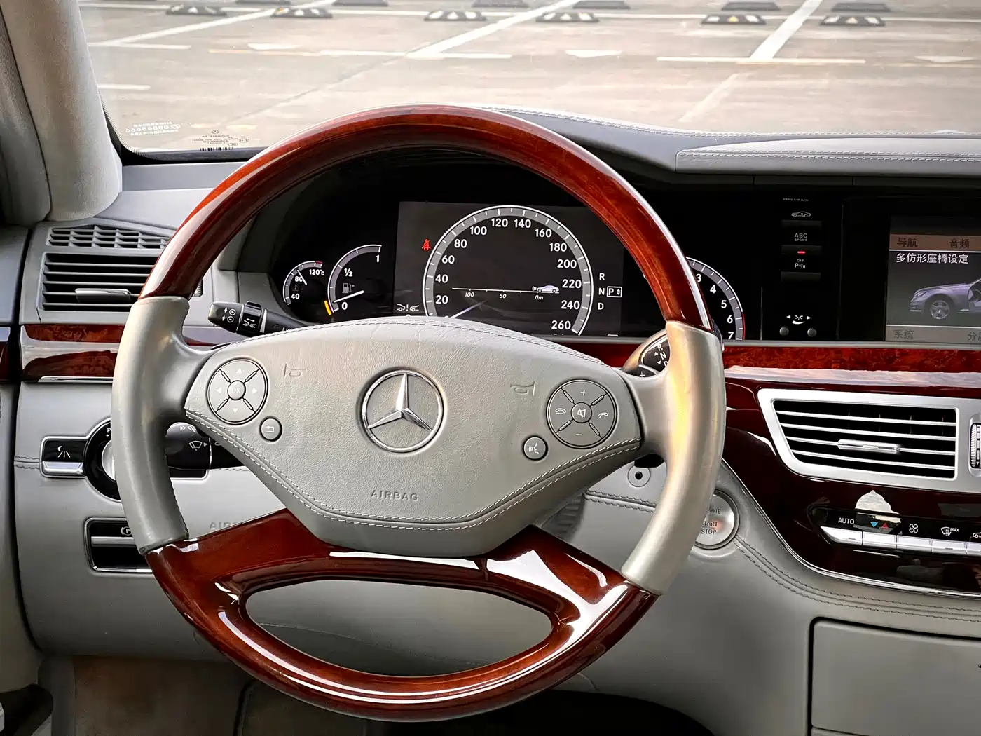 Mercedes-Benz S-Class 2010 S 600 L фото 22