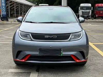 BYD Dolphin