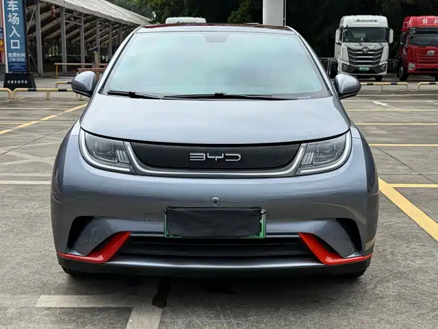 BYD Dolphin 420km, Стиль