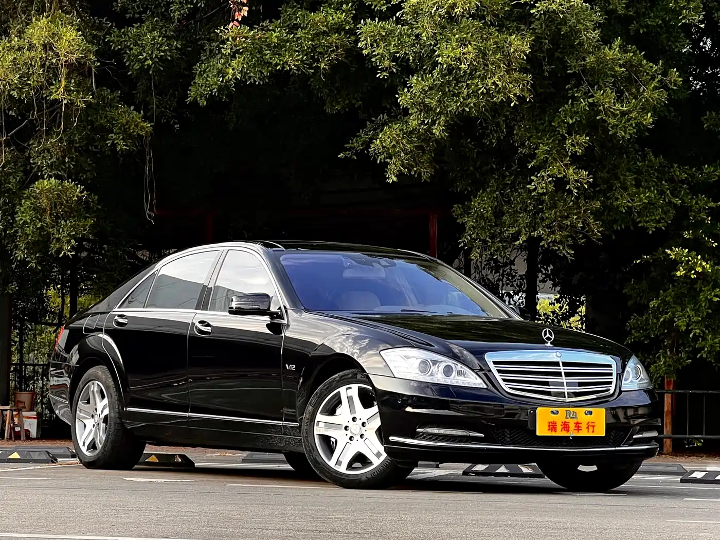 Mercedes-Benz S-Class 2010 S 600 L фото 3