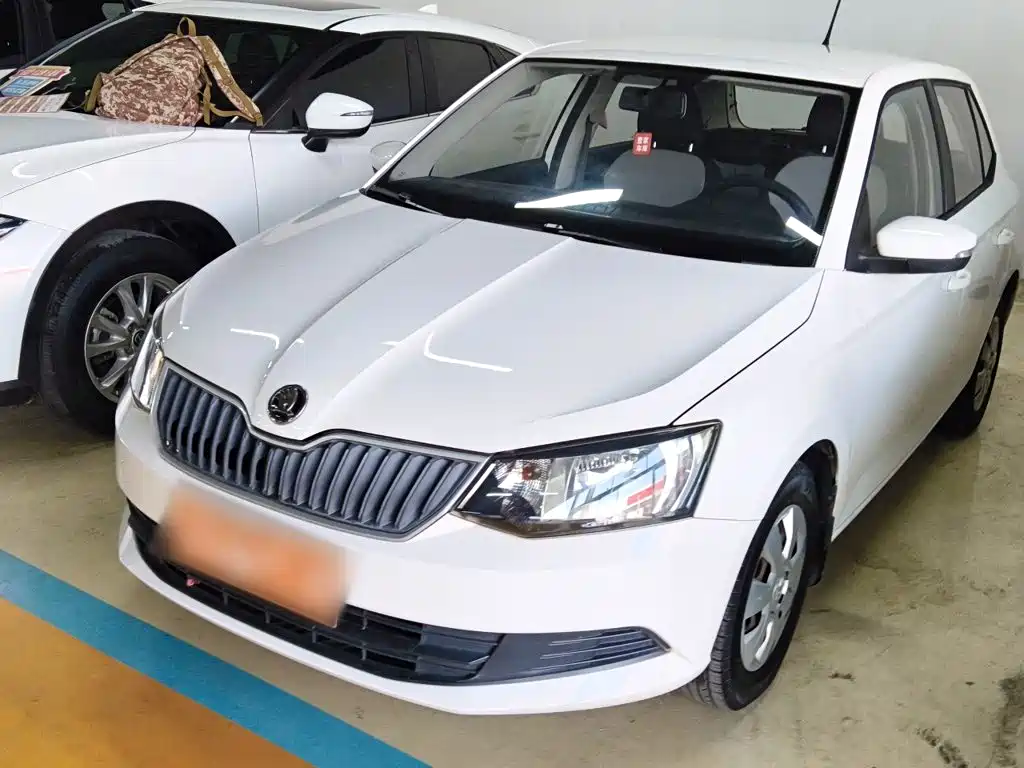 Škoda Fabia 2015 — пригон из Китая