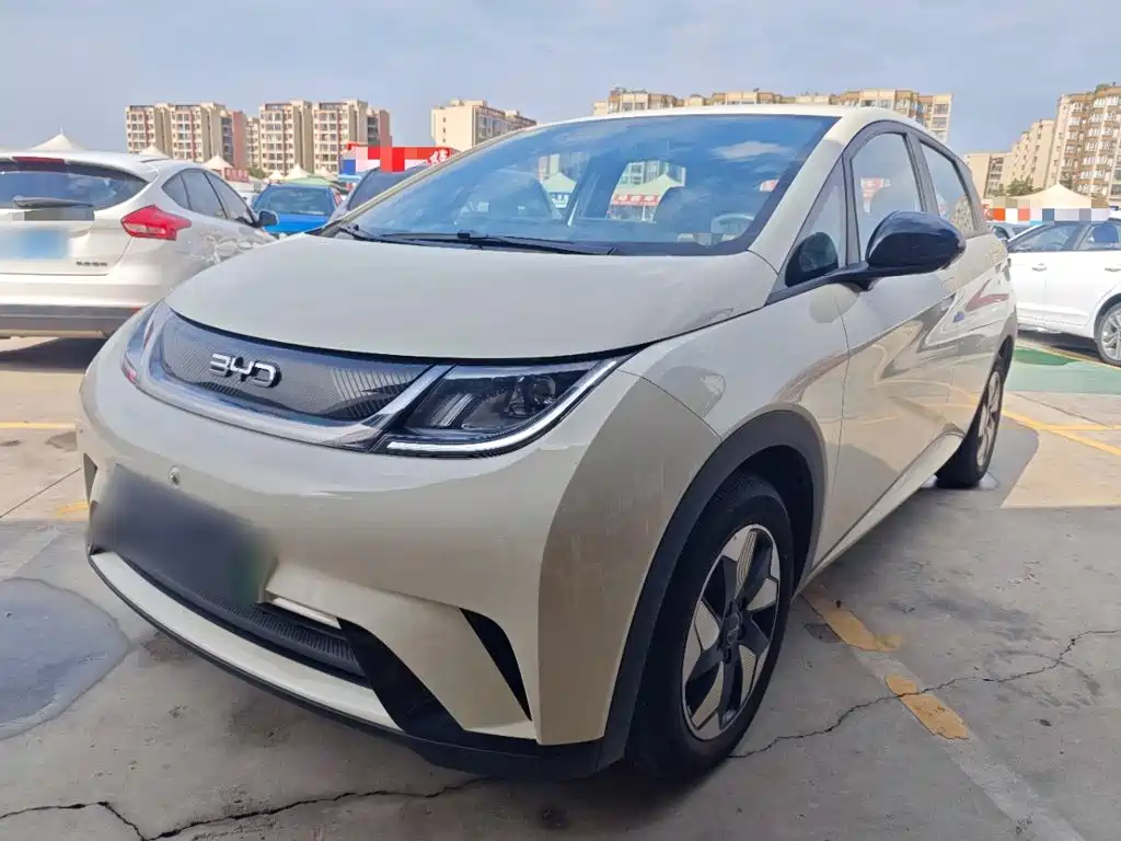 BYD Dolphin 2026 2025 420km Freedom Edition