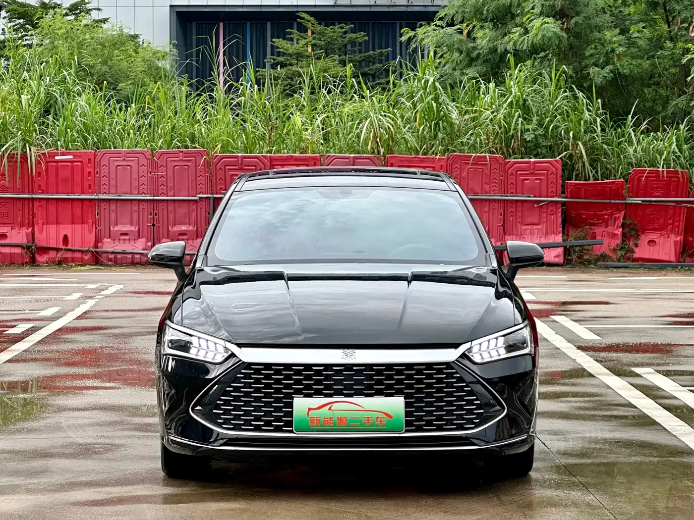 Фото 2 - BYD Qin PLUS