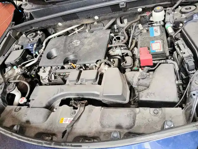 Toyota Lingfang HARRIER 2022 2.0L CVT 2WD Premium Edition — фото 3