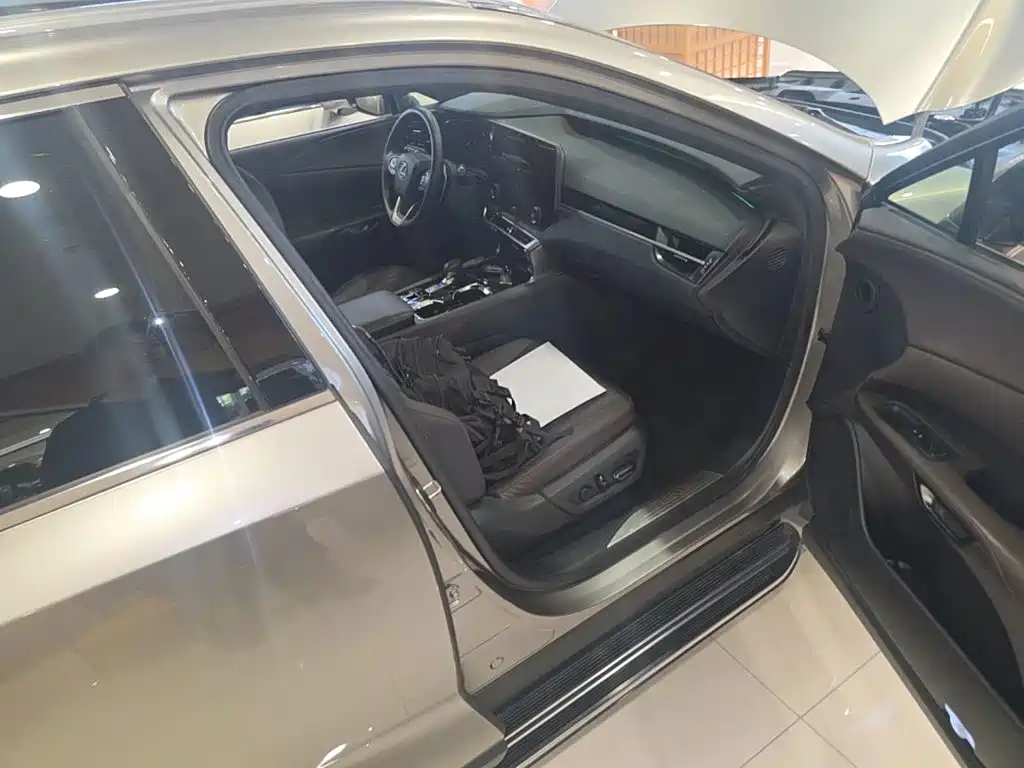 Фото 9 - Lexus RX
