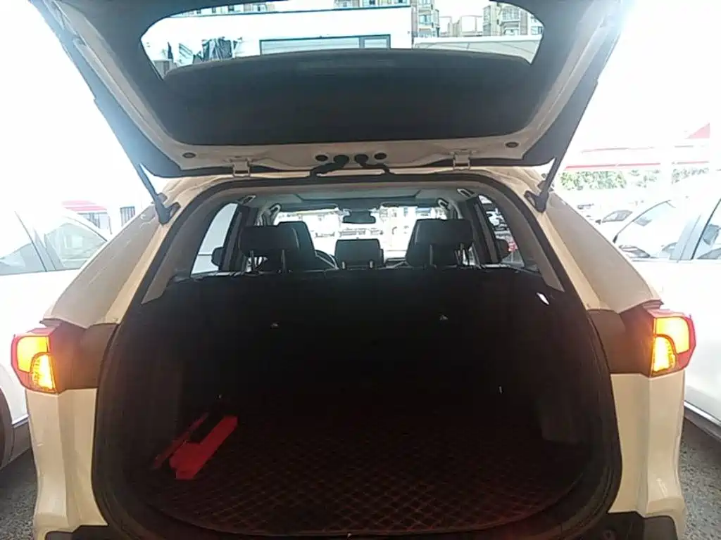 Toyota RAV4 Rongfang 2024 2023 2.0L CVT FWD Style Plus Edition