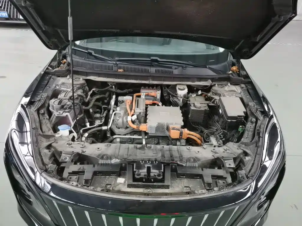 Photo 20 - Hongqi E-QM5