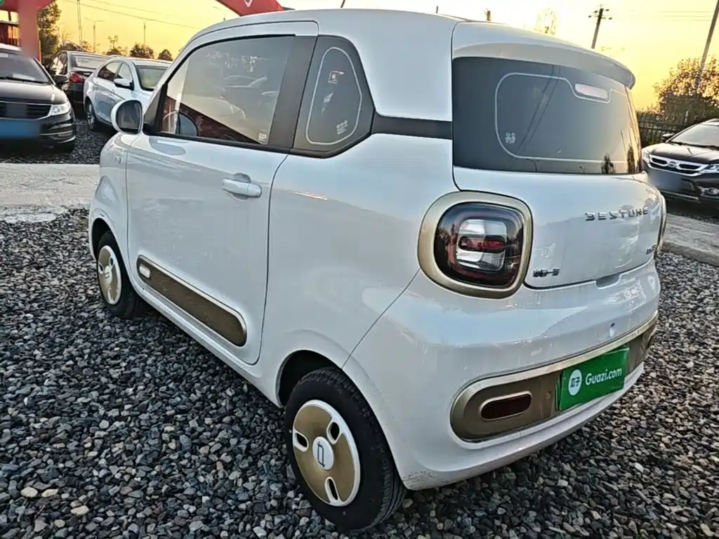 Photo 5 - Besturn Bestune Pony