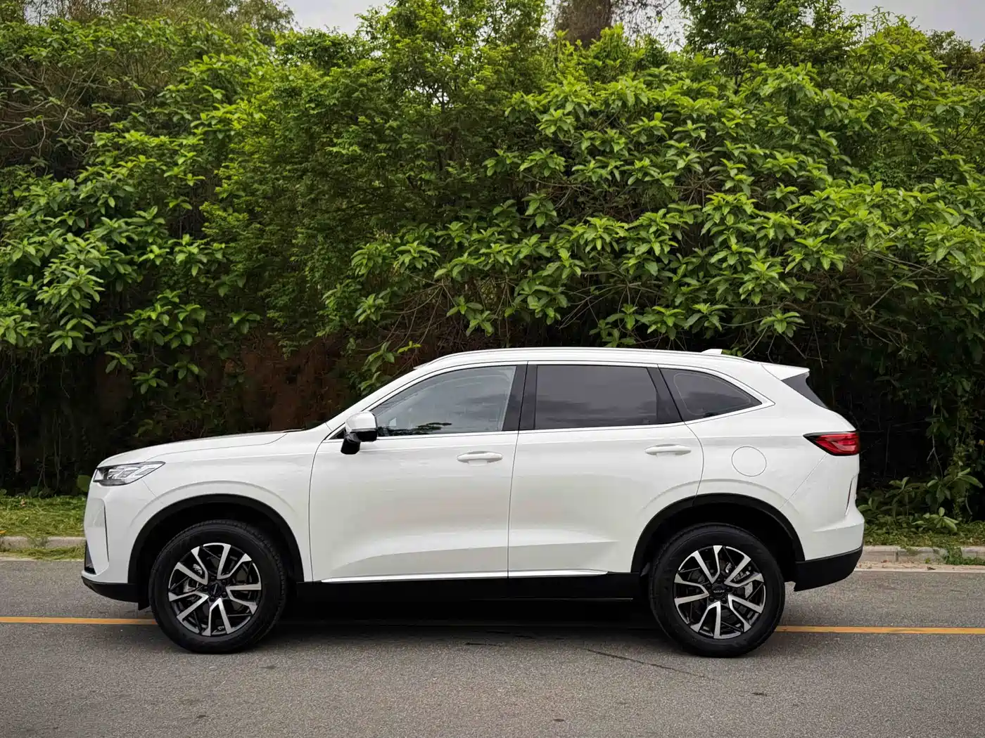 Haval H6 2025 2024 Model 1.5T 2WD Classic Edition