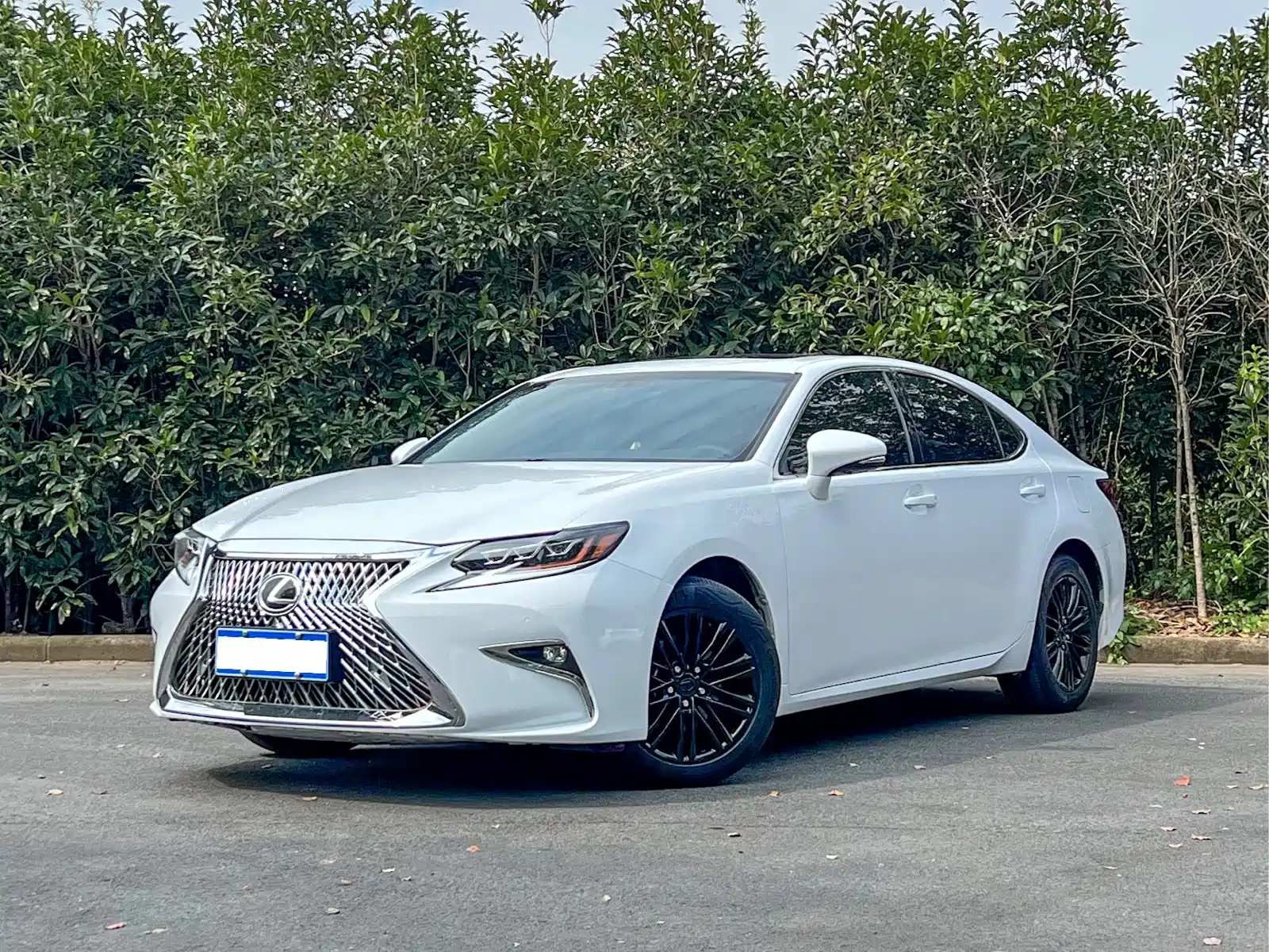 Фото 1 - Lexus ES