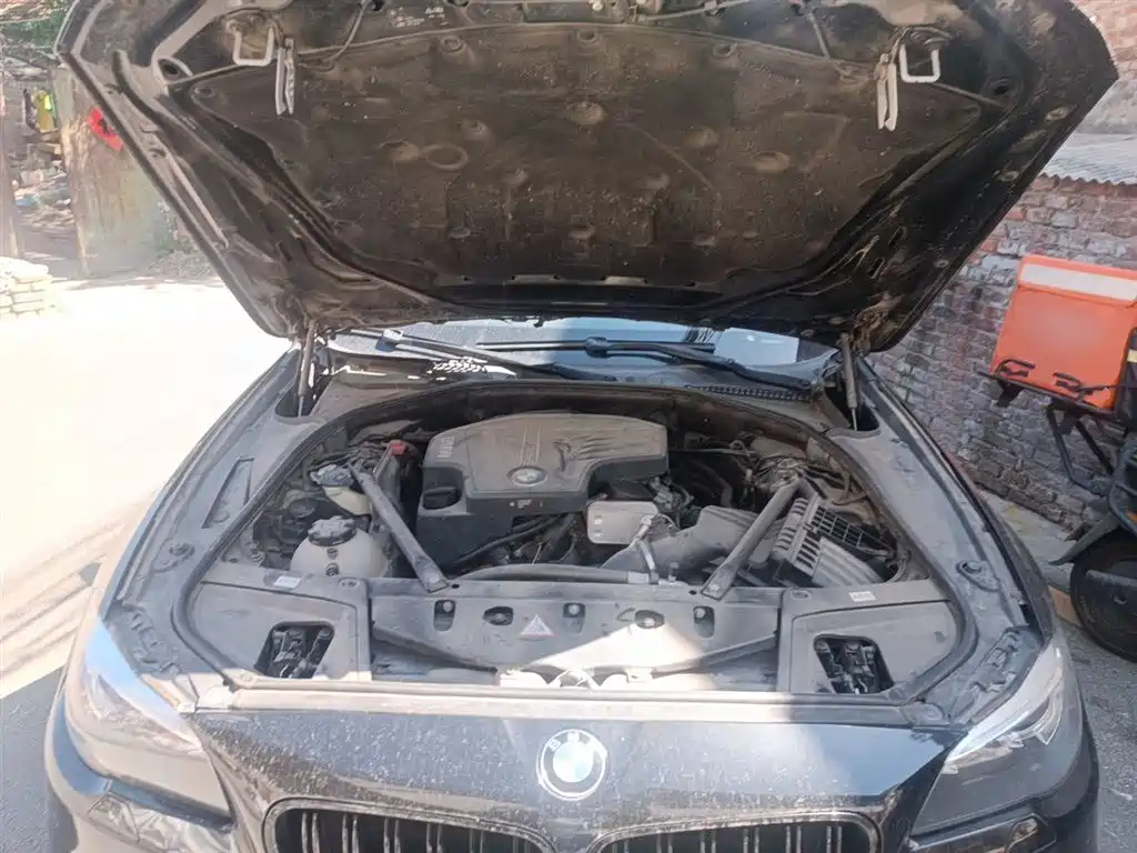 BMW 5 Series 2014 525Li Luxury Design Package фото 11