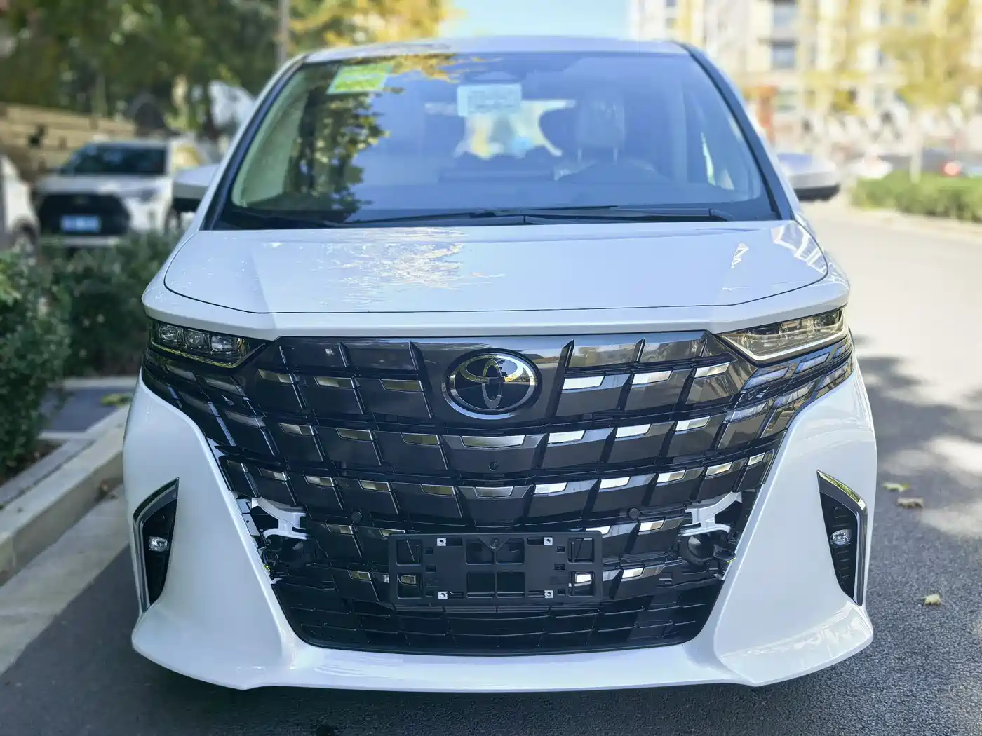 Toyota Alphard 2025 Hybrid 2.5L Ultimate Gold Edition фото 2