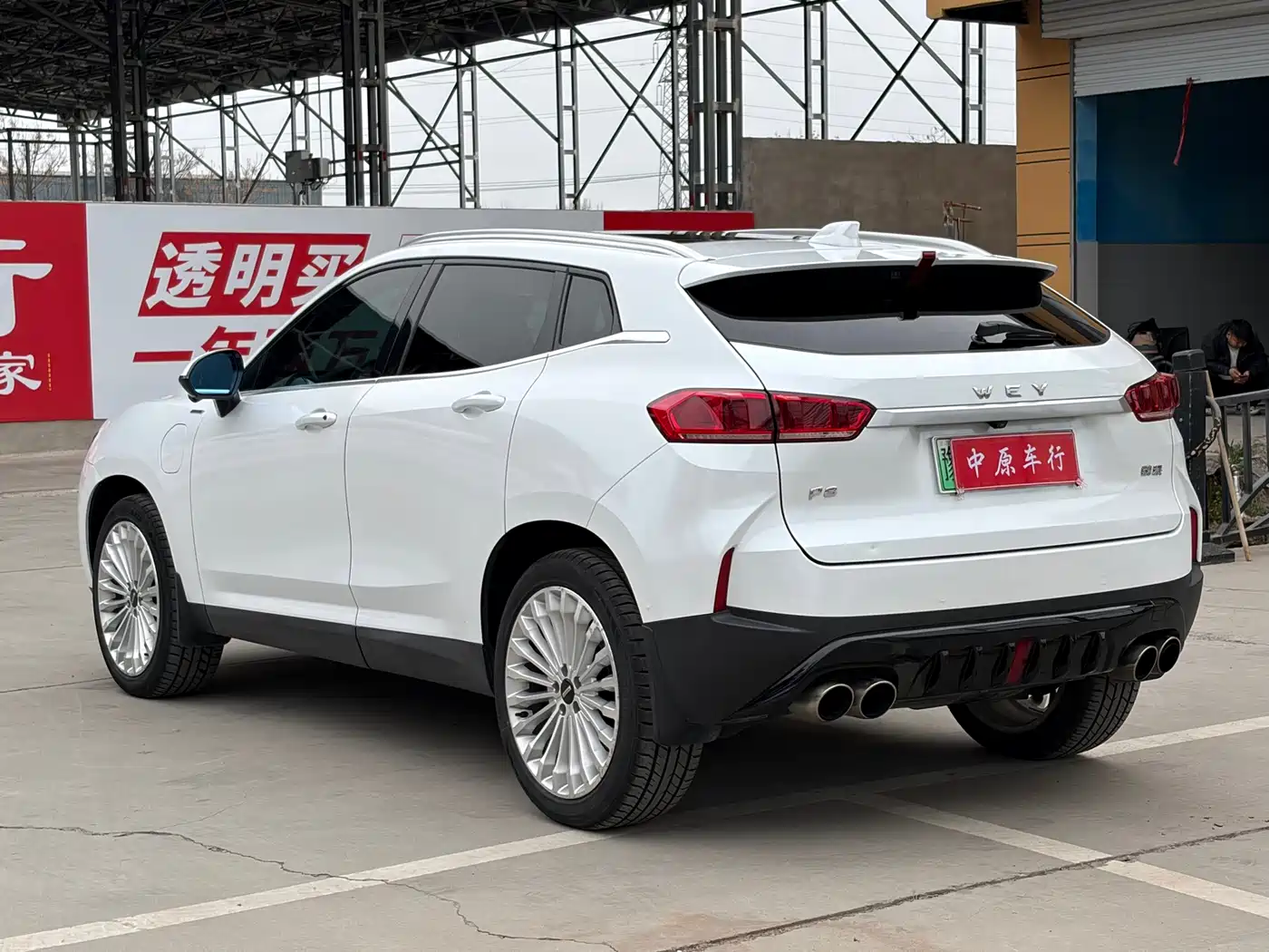 WEI PAI WEI BRAND P8