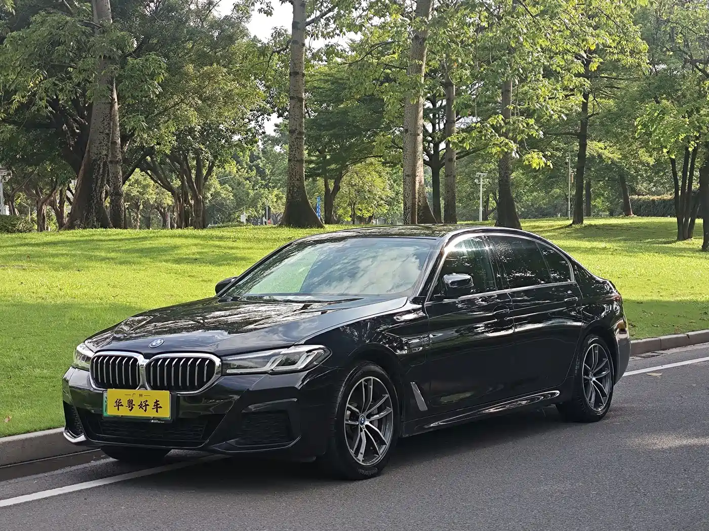 BMW 5 Series New Energy 2022