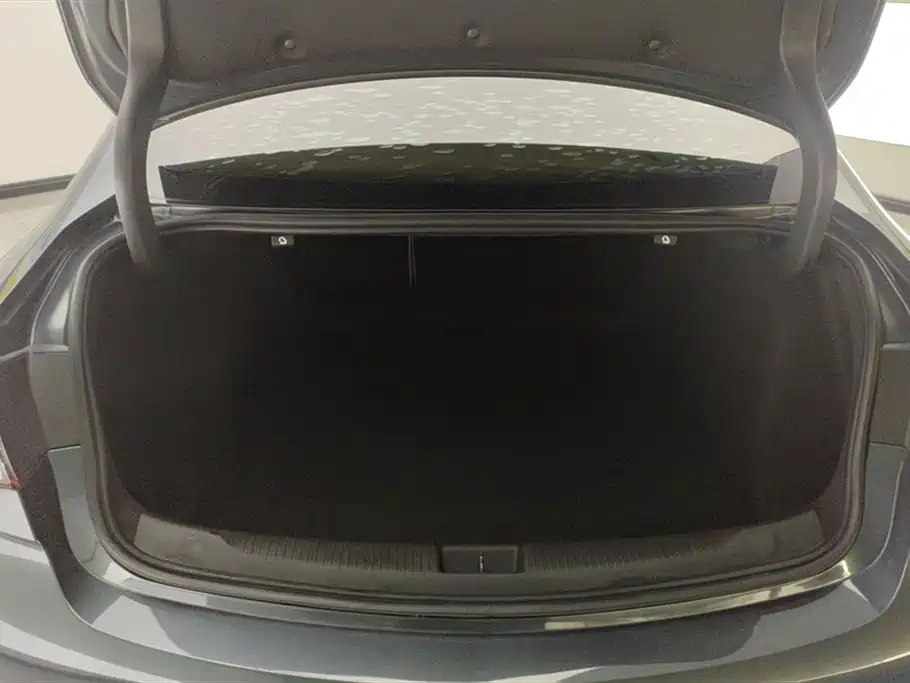 Buick Regal 2021 552T Elite фото 4