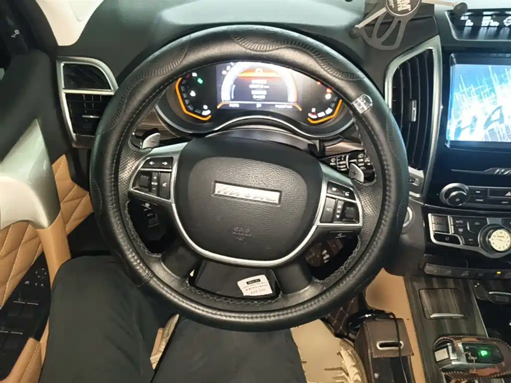 Haval H9 2020 2.0T Gasoline 4WD Premium 5-Seater фото 11