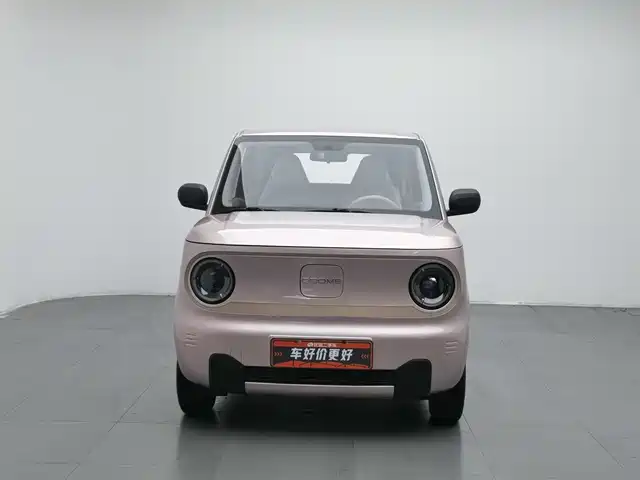 Geely Galaxy Panda 2024 Panda mini 200km Endurance Bear — фото 3