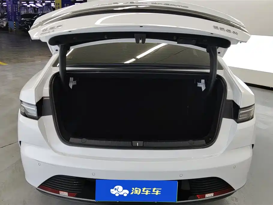 BYD Destroyer 05 2024 Glory Edition DM-i 55KM Luxury фото 4