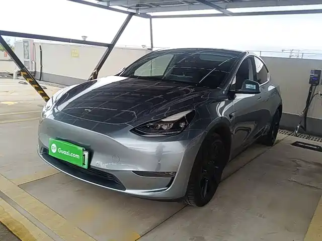 Tesla Model Y Стандартный запас хода, задний привод