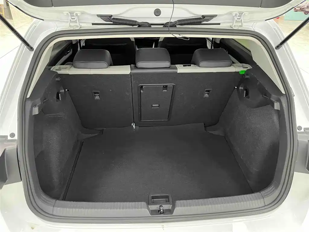 Volkswagen Golf 2021 280TSI DSG Pro фото 16