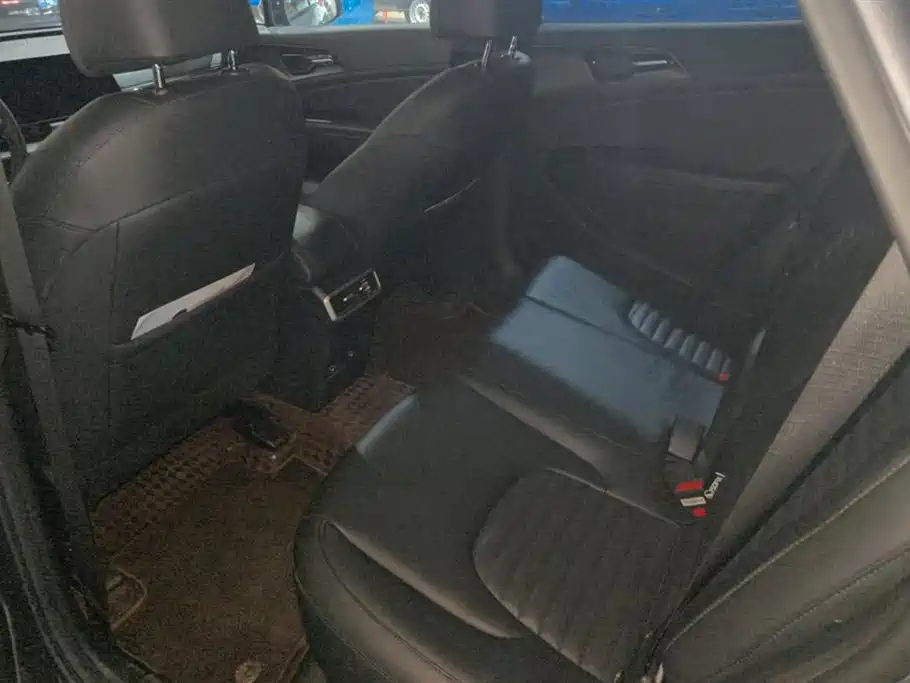 KIA LION PLATINUM EXPANDS THE WORLD