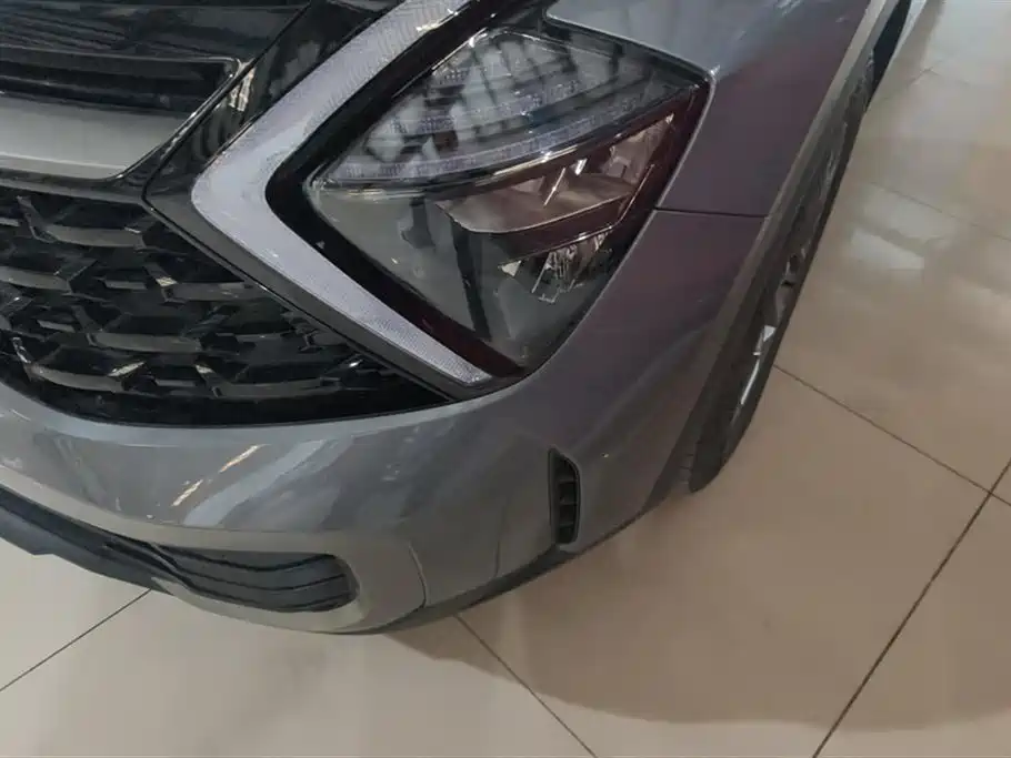 KIA LION PLATINUM EXPANDS THE WORLD