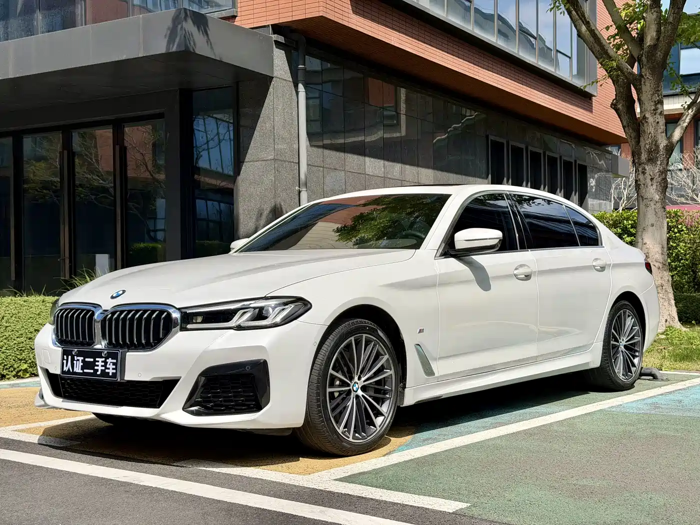 BMW 5 Series 2021 530Li Leading M Sport Package