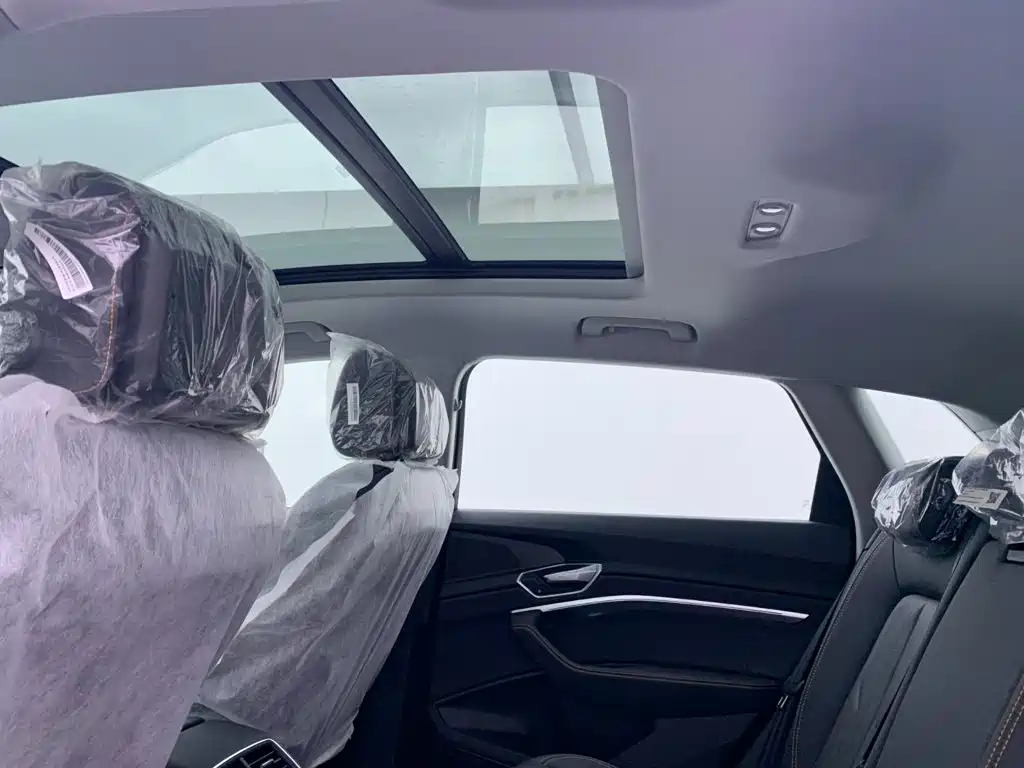 Audi e-tron 2026 2021 50 quattro Luxury