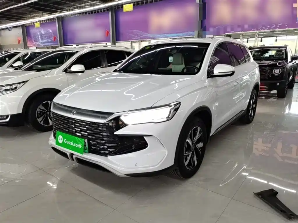 BYD Song Pro New Energy 2024 Glory Edition DM-i 71KM Pilot фото 2
