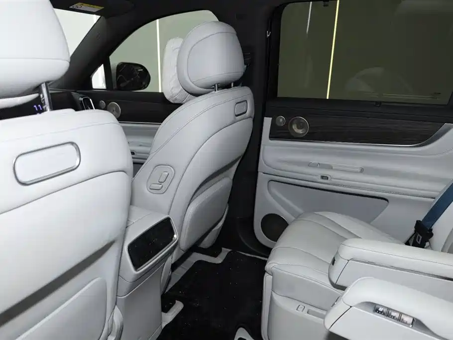 AITO Wenjie AITO M9 2024 Extended Range Ultra 42kWh 6-Seater фото 19